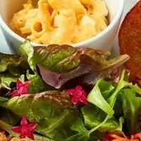 春待ちプレート登場！