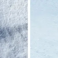 雪白パターンの新作