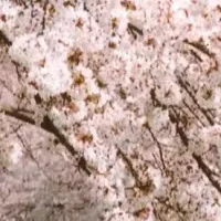 奈良県景観パネル展