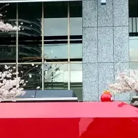 桜の発祥地を楽しむ
