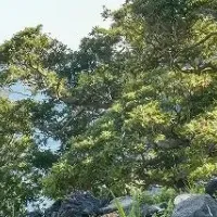 北川温泉でリフレッシュ