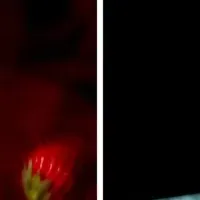 名古屋いちごフェア