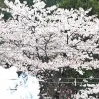 SLパレオエクスプレス