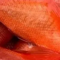 金目鯛の郷土料理体験