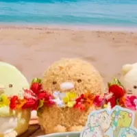 すみっコとハワイ気分！