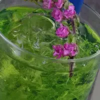 季の美カクテル特集