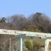 東山動植物園装飾