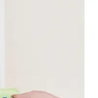 新しい生理用サービス