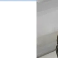 新プロセスガス圧縮機