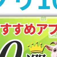 Shopifyアプリ活用法