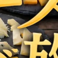チーズ食べ放題登場！