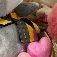 猫の日特別タクシー