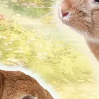 うさちゃんハーネス