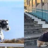 愛犬と楽しむ熱海旅