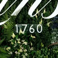 特別仕様シャンパーニュ