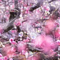 春の訪れと芸術