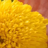 滋賀・グルメの集い