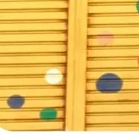 鹿児島リモートセミナー