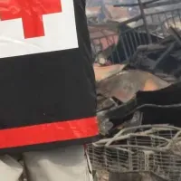 震災から15年の思い