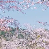 春旅温泉キャンペーン