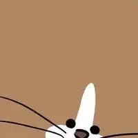 猫マンガ最新刊発売