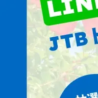 Mysuranceが200万件突破！