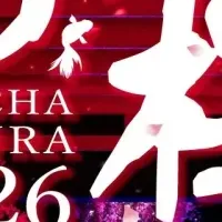 春の幻想空間を満喫！