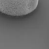 田中貴金属の新技術