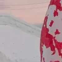 nariさんの氷像挑戦