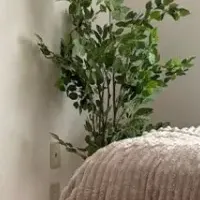 選べるグループホーム