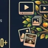 動画MEOの新展開