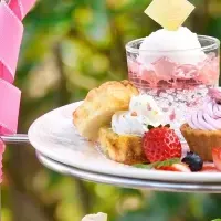 春の箱根強羅公園