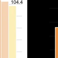 デベロッパー調査発表