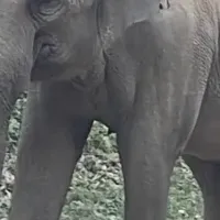 食品ロス削減の新たな試み