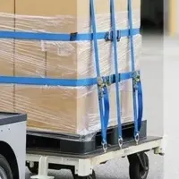 自動走行体験キャンペーン