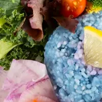 シナグロ春限定メニュー