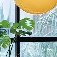 MODIFY新アイテム登場