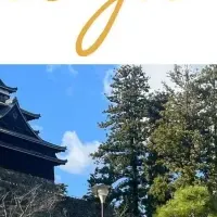 松江のシェアサイクル