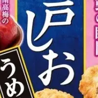 新しい「瀬戸しお」登場