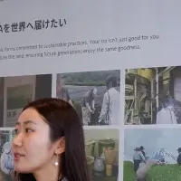 Chotto Matchaの挑戦