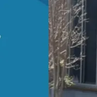 PROCOLLA導入で現場効率化