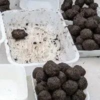 タネ植えイベント