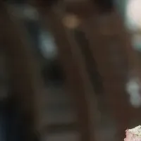 別府の春ディナー