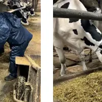 酪農体験の新時代