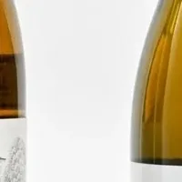 ワインオークションの成功