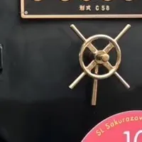 桜沢みなの誕生日