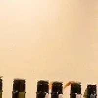 Sake and Seafood Event