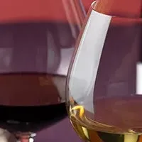 料理長就任特別企画