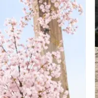 春の動物お花見