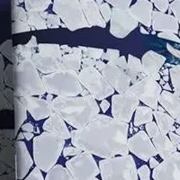 リスクアウトルック2026